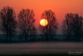 067_Biebrza - kwiecien 2012